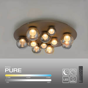 Ceiling light Paul Neuhaus PURE Popup 6588-97, bronze small 1