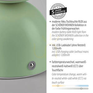 RUDI 19218-43 Green 1xLED Table Lamp 7 RUDI 19218-43 Green 1xLED Table Lamp small 7