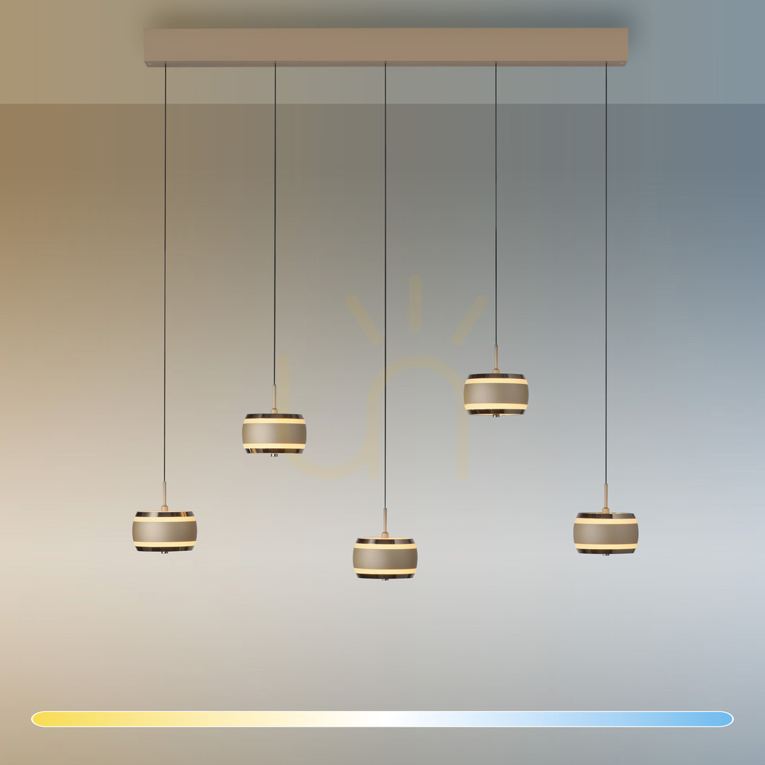 Preview PURE FALLING RINGS 2504-97 Brown 5xLED Pendant Light PURE FALLING RINGS 2504-97 Brown 5xLED Pendant Light