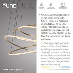PURE E-FLYING RINGS 2566-97 Brown 1xLED Pendant Light small 9