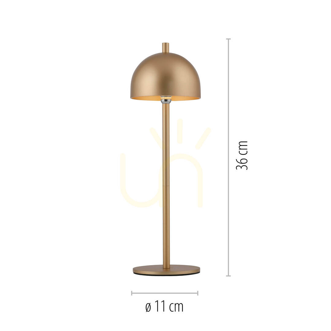 Check BELLIS 19244-12 Table Lamp, Gold, 1xLED BELLIS 19244-12 Table Lamp, Gold, 1xLED