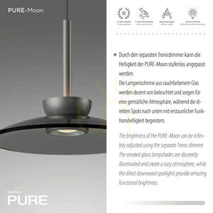 PURE MOON 2193-15 Gray 6xLED Pendant Light small 9