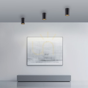 PURE POINT 6749-18 Ceiling Light, Black, 1xLED small 2