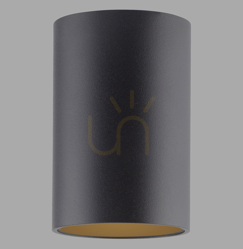 Check PURE POINT 6749-18 Ceiling Light, Black, 1xLED