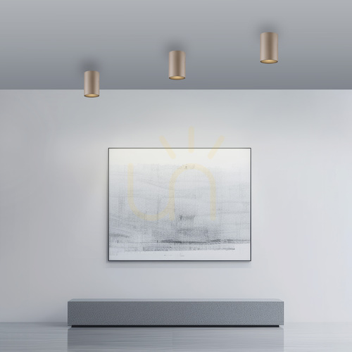 Check Ceiling light Paul Neuhaus PURE Point 6749-97, bronze