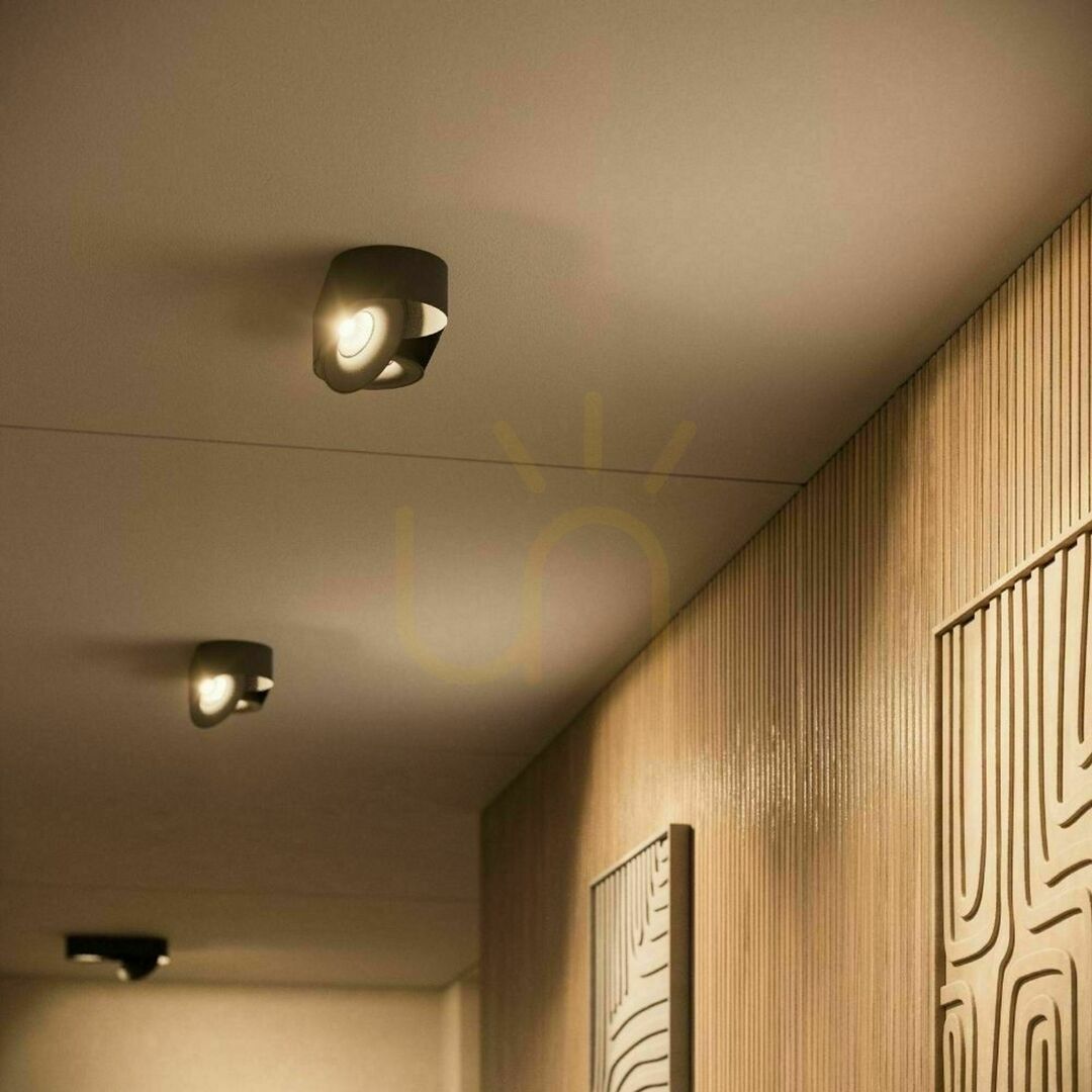View Adjustable LED Ceiling Spotlight s.luce Santa Duo 2-Light Black 22W 2700K Dimmable Adjustable LED Ceiling Spotlight s.luce Santa Duo 2-Light Black 22W 2700K Dimmable