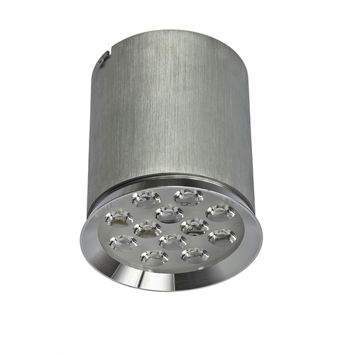 Check Chloe 12 Led 230 V 12 W Ip20 60 St Cw Ceiling