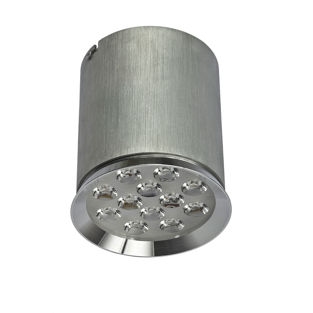 Chloe 12 Led 230 V 12 W Ip20 45 St Ww Ceiling
