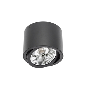 Chloe Ar111 Ip20 ROUND Black, moveable small 2
