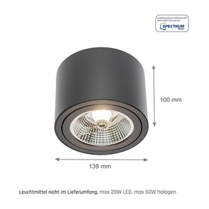 Chloe Ar111 Ip20 ROUND Black, moveable small 9