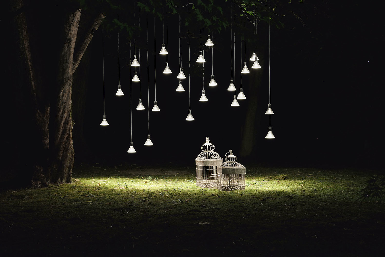 Show Hanging lamp Fabbian Multispot F32 30x15cm - 5 - F32 A27 00 Hanging lamp Fabbian Multispot F32 30x15cm - 5 - F32 A27 00