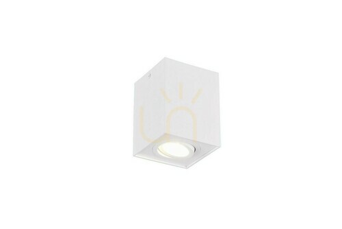 Check Trio BISCUIT Ceiling Lens 613000131