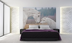 Wall mural horses, Shetland pony, white horse, wall wallpaper 1 Wall mural horses, Shetland pony, white horse, wall wallpaper small 1