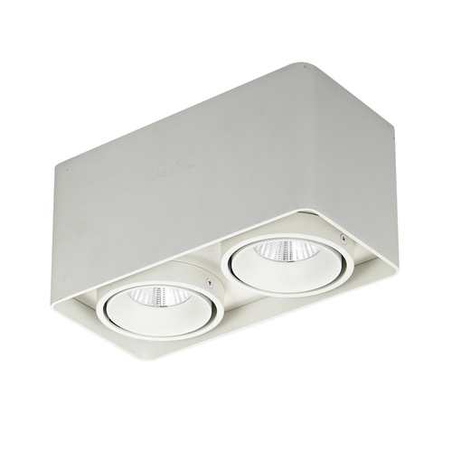 Check Italux Bonnie LED Surface Lamp White 20W 3000K SLC78005/20W WH